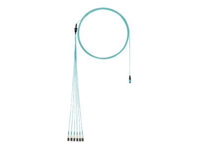 Panduit QuickNet 4 to 1 Conversion Harness Cable Assemblies