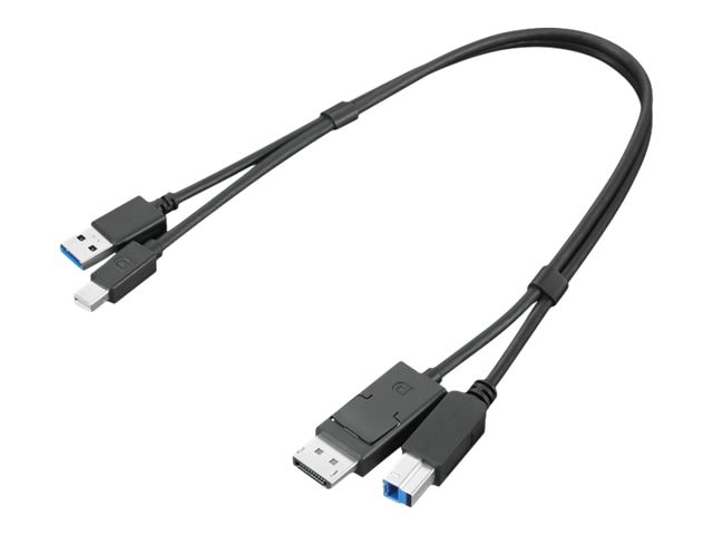 Lenovo Dual Head - display / USB cable kit - USB Type A, DisplayPort to USB Type B, Mini DisplayPort - 1.4 ft