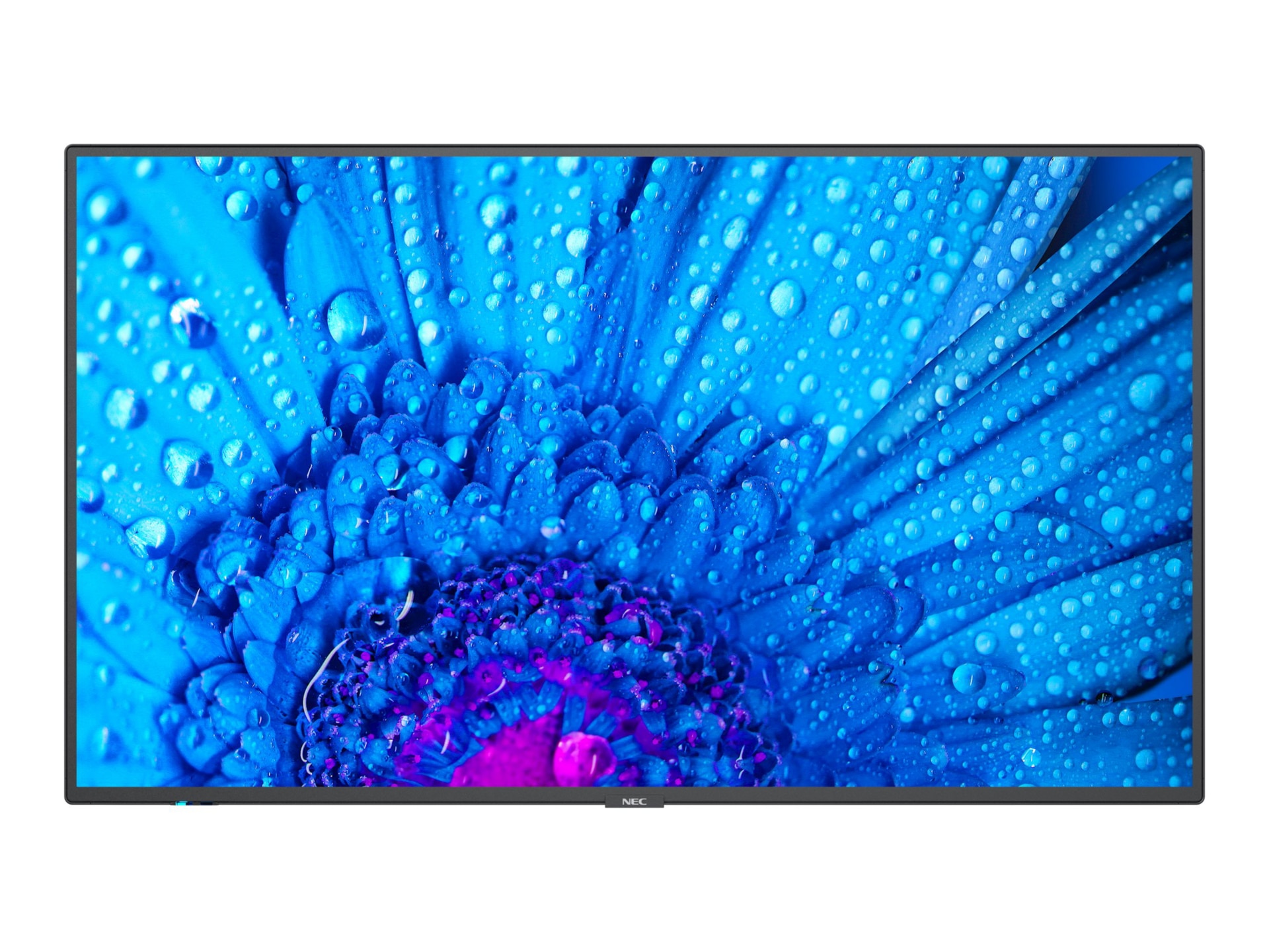 NEC MultiSync M651 M Series - 65" LED-backlit LCD display - 4K - for digital signage