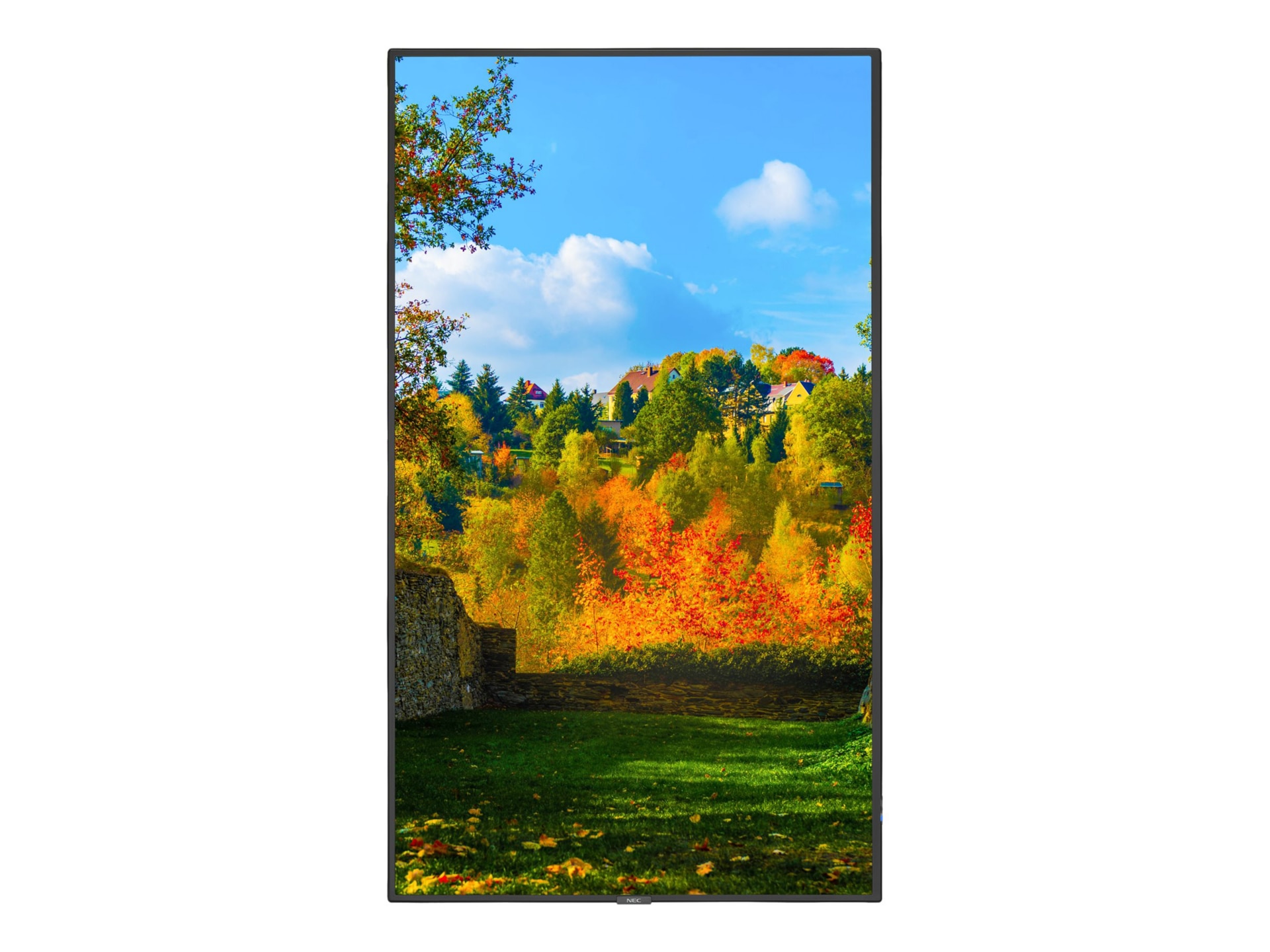 NEC MultiSync M551-AVT3 M Series - 55" LED-backlit LCD display - 4K - for digital signage