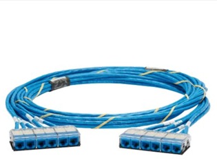 Panduit 15' CAT6 UTP Riser Cassette Cable