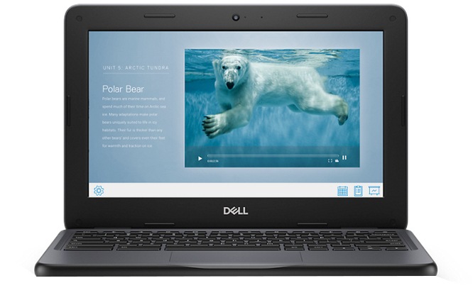 Dell 3100 Laptop N4020 - 4 GB RAM - 16 GB SSD - WGOOG-3YRONS