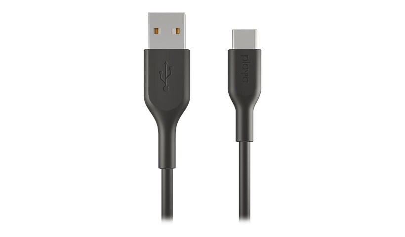 Playa by Belkin USB-C to USB-A 2.0 Cable 3ft/1M - Black