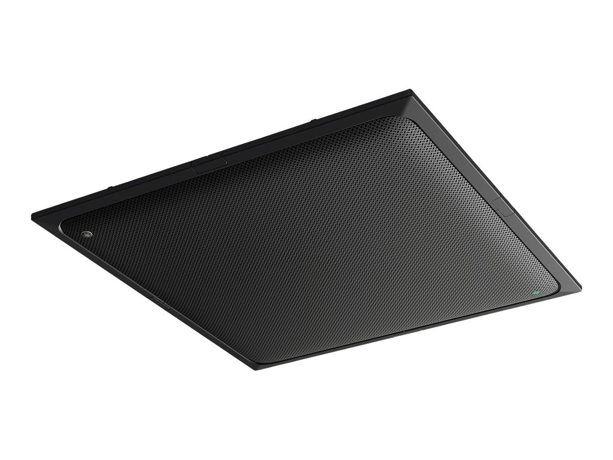 Yamaha RM-CG - microphone