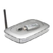 NETGEAR WGB111 54Mbps Wireless Router and USB 2.0 Adapter Networking Kit