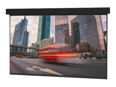 Da-Lite Professional Electrol Projection Screen - Projector Screen w/ Wooden Case and Trim - 250in