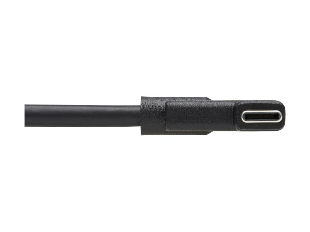 Eaton Tripp Lite Series USB C Cable - Thumbnail 4