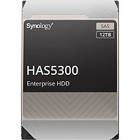 Synology HAS5300 - hard drive - 12 TB - SAS 12Gb/s