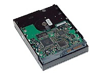 HP BL30P 60GB ATA DRIVE (BSTK)