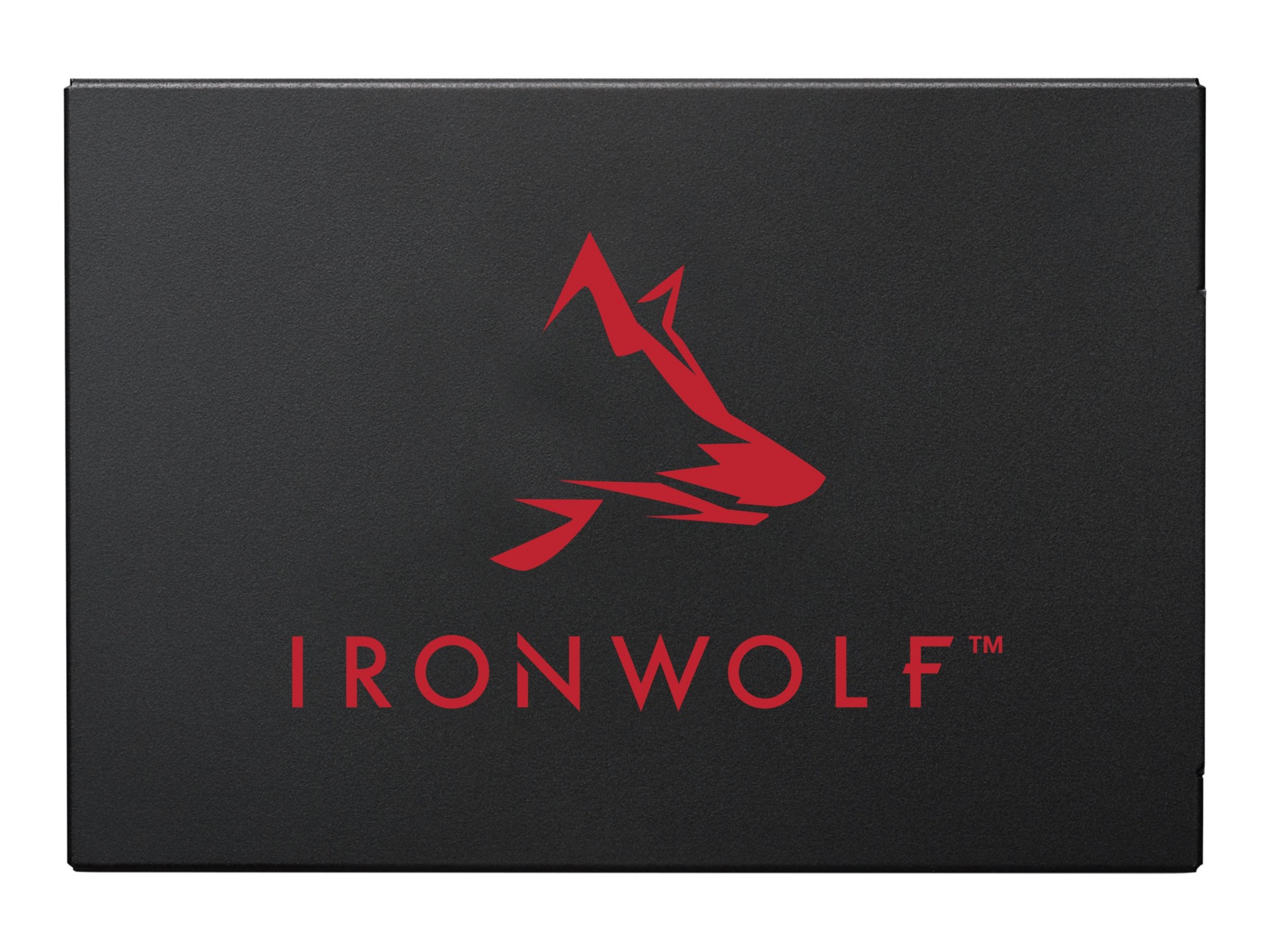 Seagate IronWolf 125 ZA1000NM1A002 - SSD - 1 TB - SATA 6Gb/s