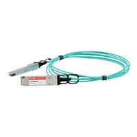 Proline 100GBase-AOC direct attach cable - TAA Compliant - 10 m