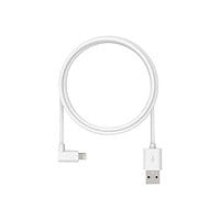 Compulocks 6ft 2.0 USB-A to 90-Degree Lightning Charging Cable - Lightning