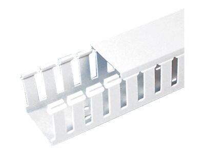 PANDUIT 2X4INX6FT SLOTTED DUCT WHT