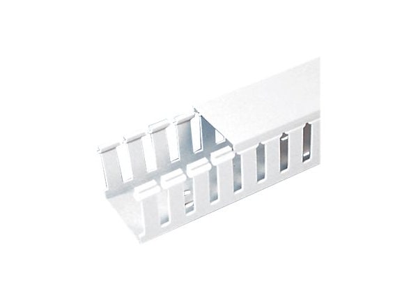 PANDUIT 2X4INX6FT SLOTTED DUCT WHT