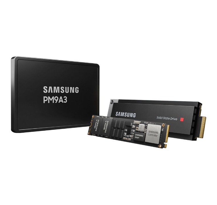 Samsung PM9A3 MZQL2960HCJR - SSD - 960 GB - U.2 PCIe 4.0 x4 (NVMe
