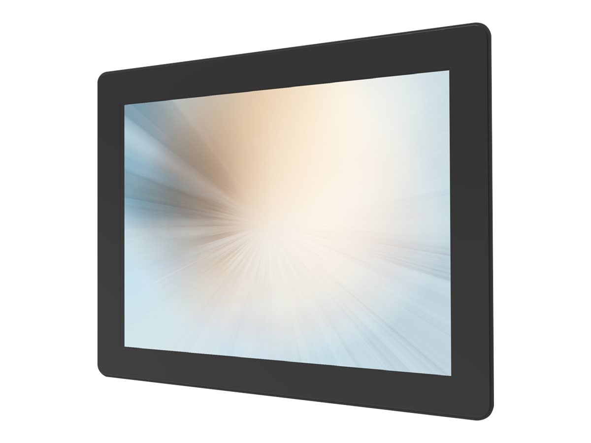MicroTouch LCD monitor - 15"