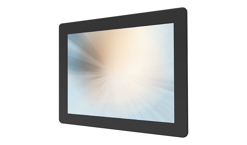 MicroTouch LCD monitor - 15"