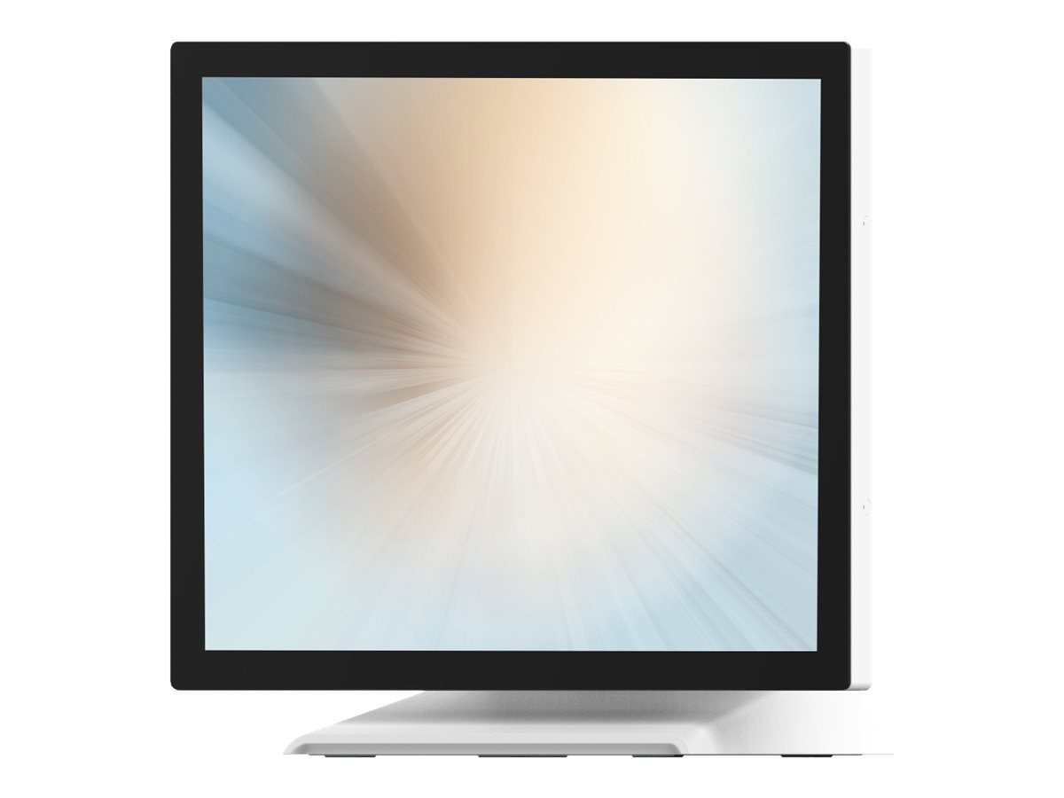 MicroTouch LCD monitor - 19"