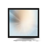 MicroTouch LCD monitor - 19"