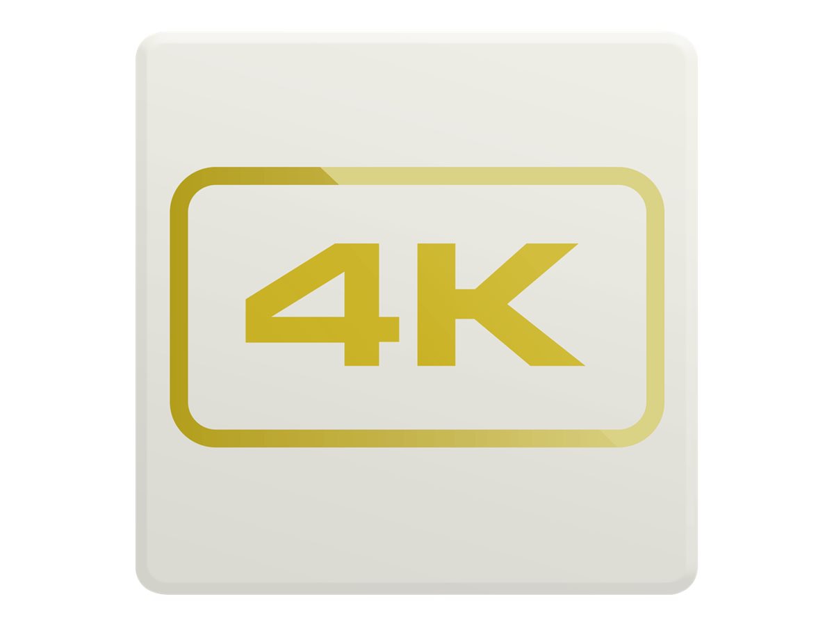 4K feature add-on - license