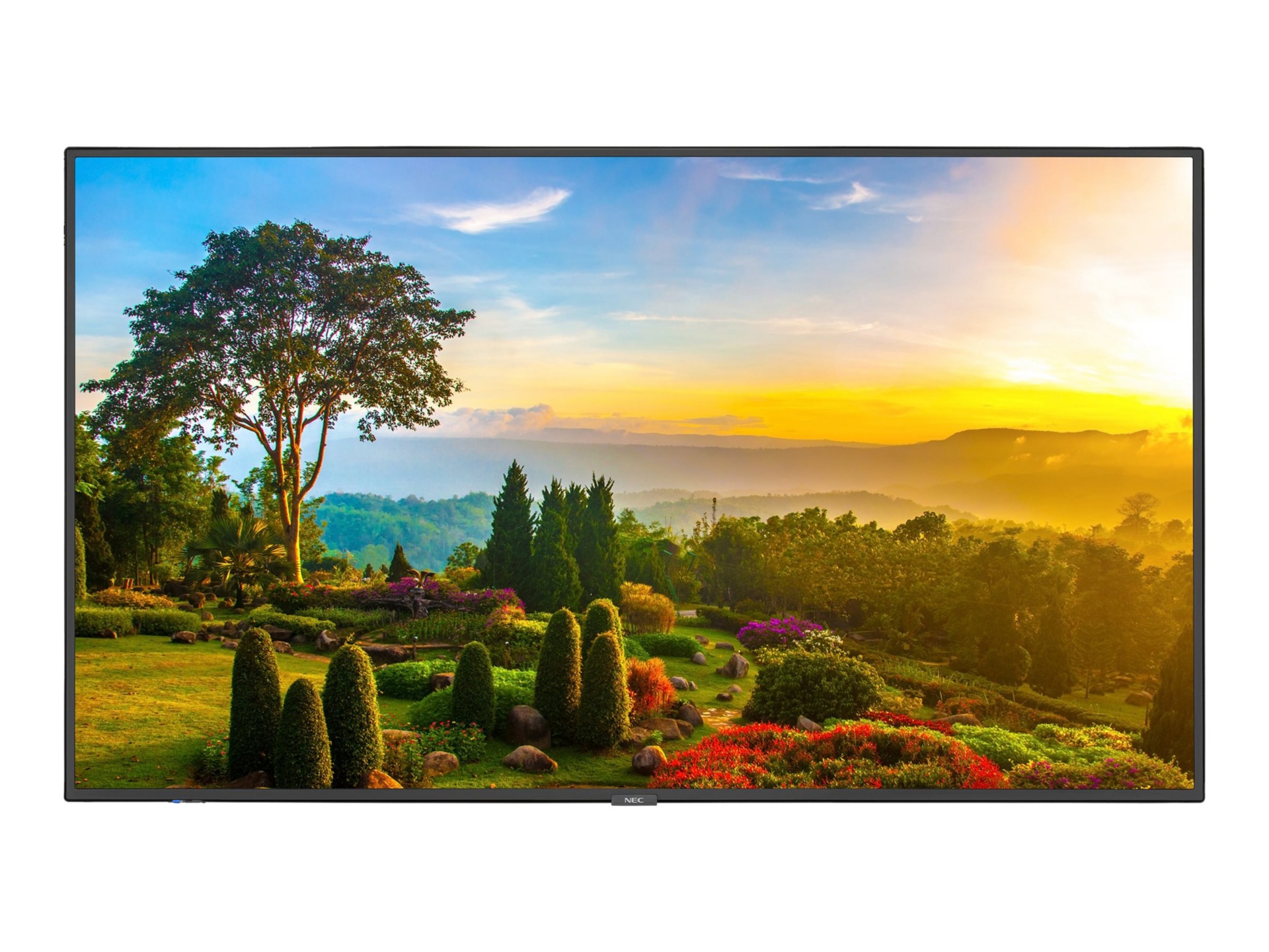 NEC MultiSync M551-MPI4E M Series - 55" LED-backlit LCD display - 4K - for digital signage