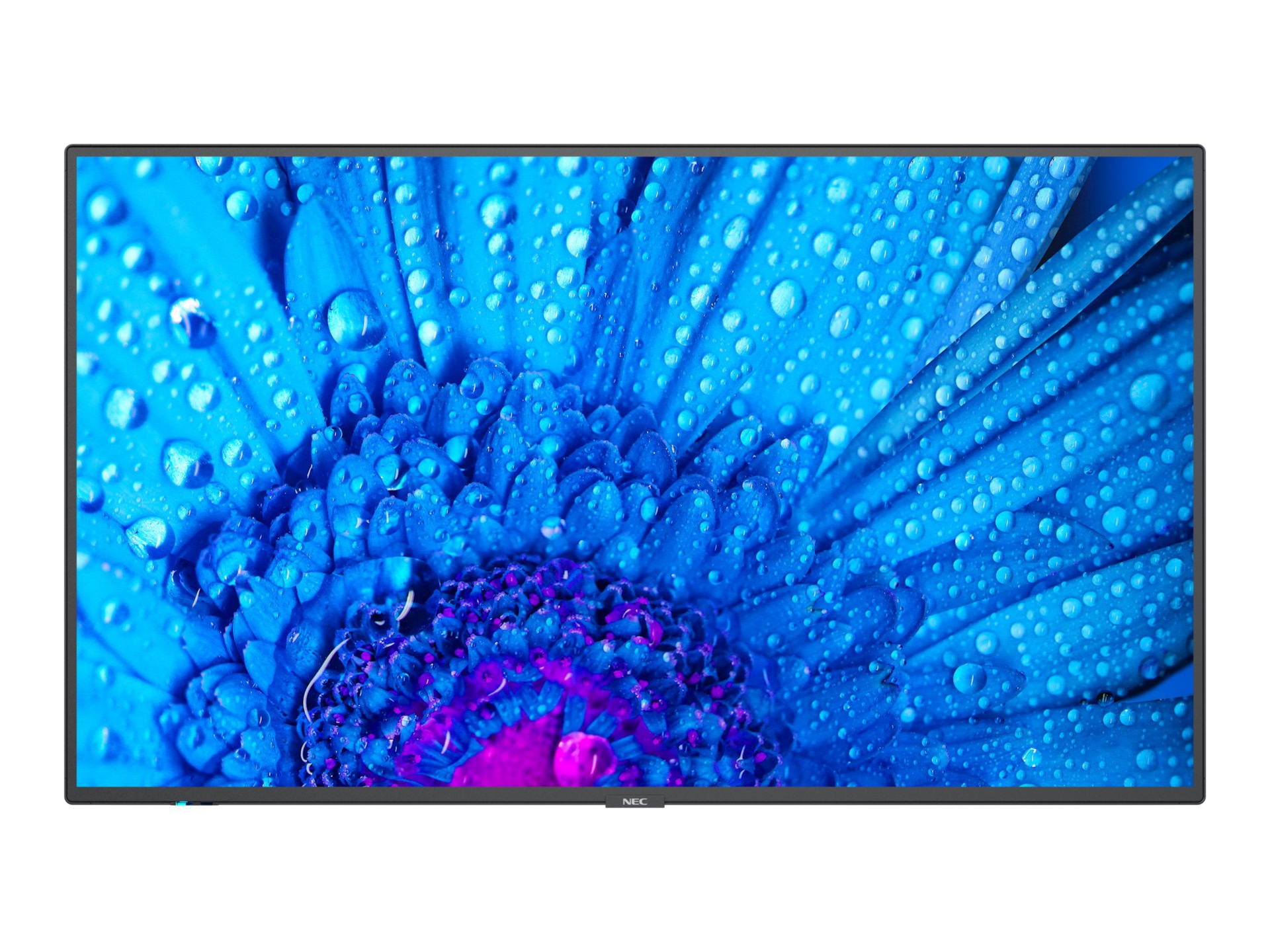 NEC MultiSync M651 M Series - 65" LED-backlit LCD display - 4K - for digital signage