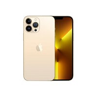 Apple iPhone 13 Pro Max - gold - 5G smartphone - 1 TB - CDMA / GSM