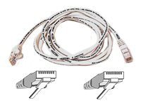 Belkin High Performance patch cable - 100 ft - white