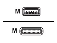 Axiom - USB-C cable - USB Type A to 24 pin USB-C - 91.4 cm