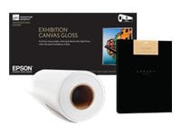 Epson DS Transfer Multi Use - transfer paper - matte - 1 roll(s) - Roll (24 in x 100 ft) - 85 g/m²