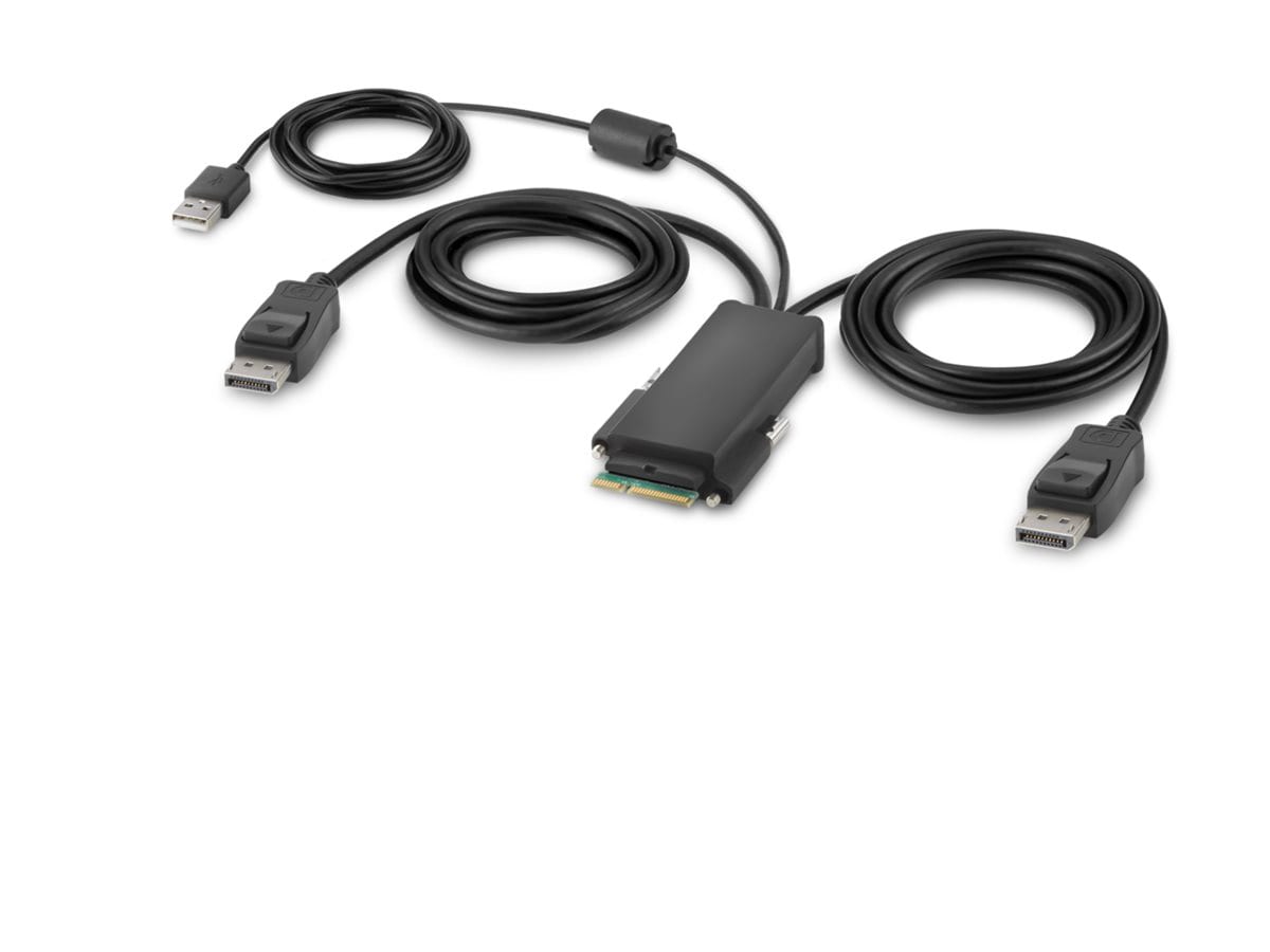 Belkin Secure Modular DP Dual Head Host Cable - video / USB cable - TAA Com