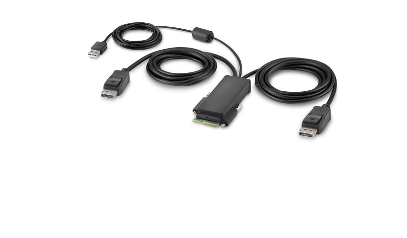 Belkin Secure Modular DP Dual Head Host Cable - video / USB cable - TAA Compliant - 6 ft