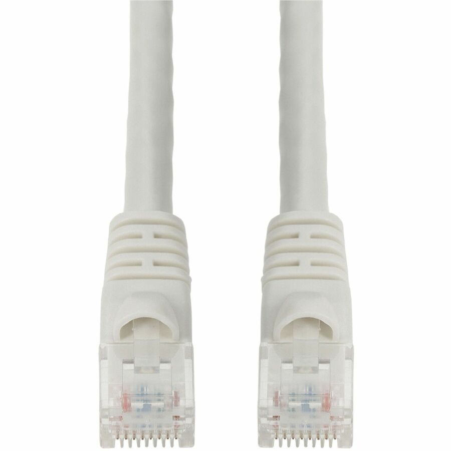 Proline patch cable - 100 ft - white