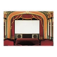 Draper Cineperm projection screen - 193" (192.9 in)
