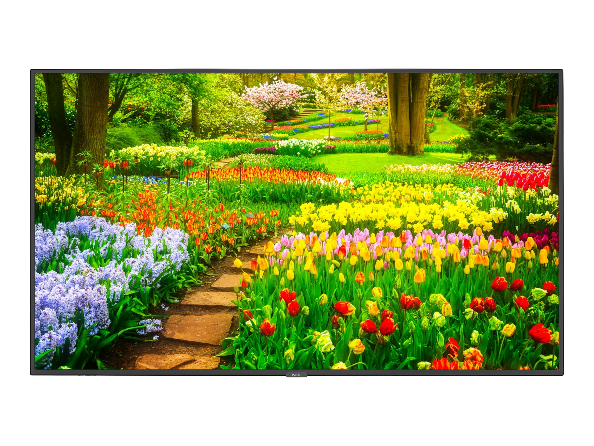 NEC MultiSync M491-AVT3 M Series - 49" LED-backlit LCD display - 4K - for digital signage