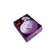 WD RE WD1200SB - hard drive - 120 GB - ATA-100