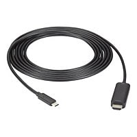 Black Box adapter cable - 10 ft