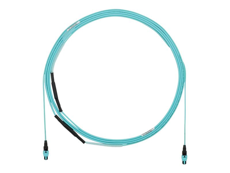 Panduit trunk cable - 4.88 m - aqua