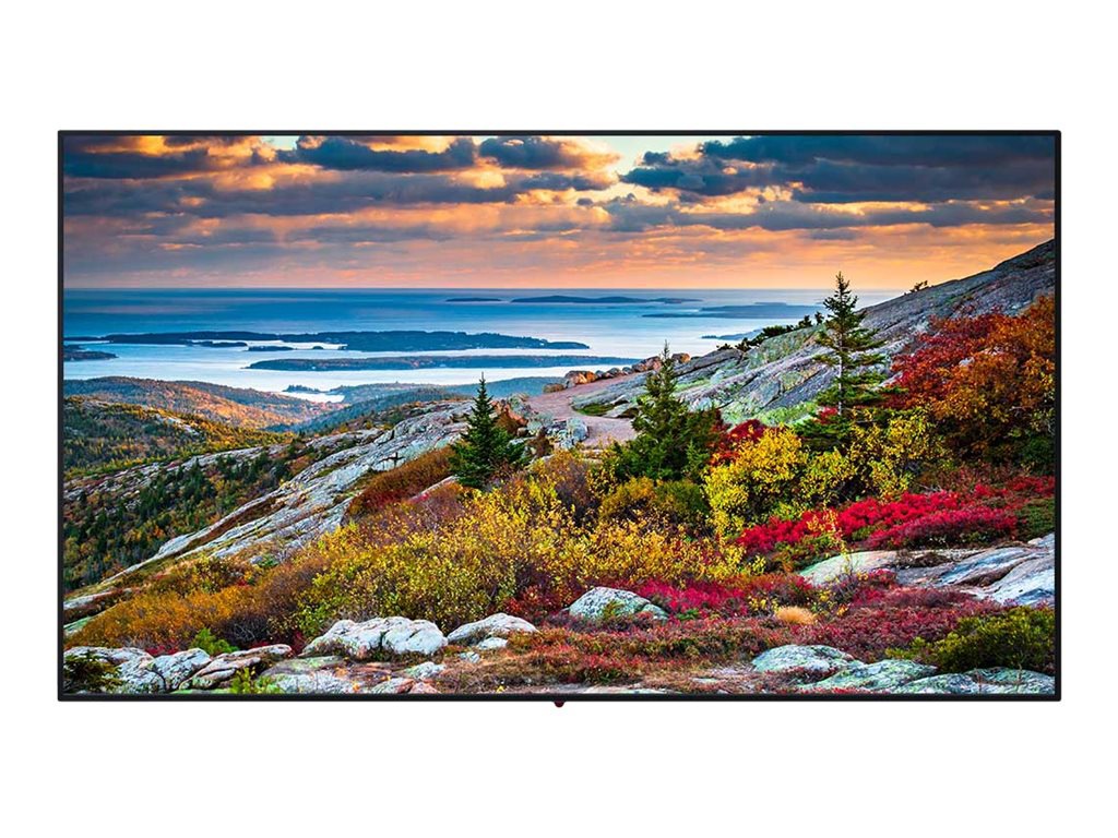 Panasonic TH-65CQE1WA CQE1 Series - 65" LED-backlit LCD display - 4K - for digital signage