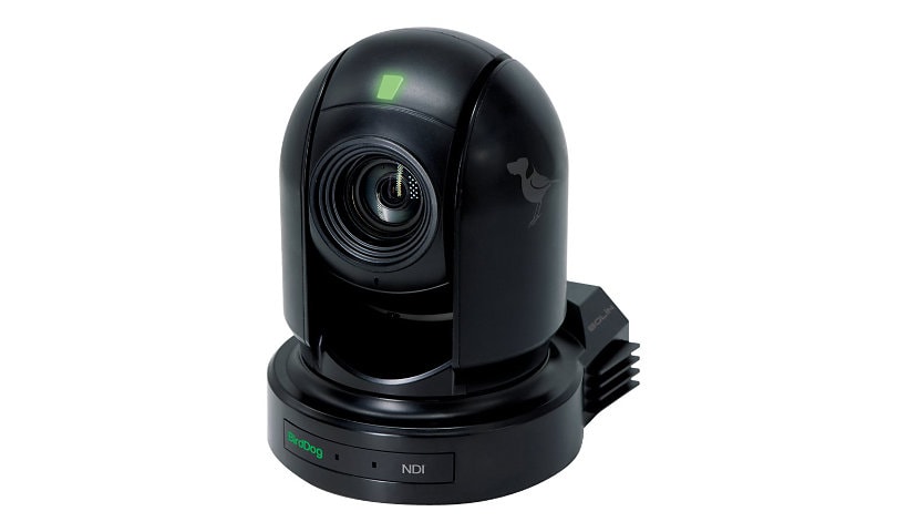 BirdDog P200 - network surveillance camera