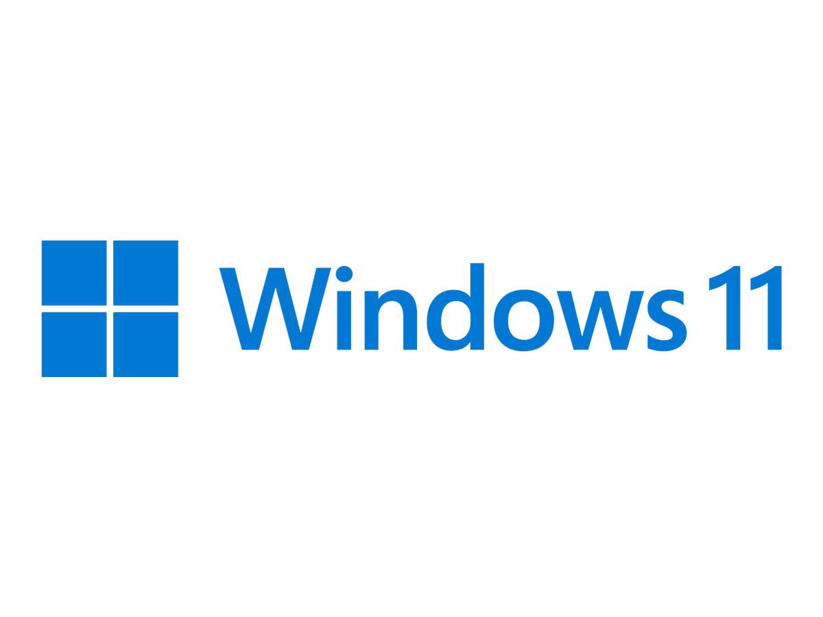 Windows 11 Pro - license - 1 license - FQC-10529 - Network Operating  Systems 