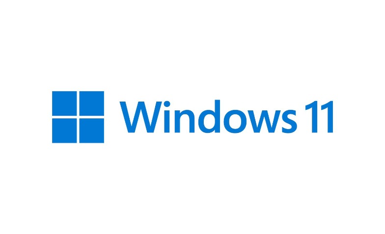 Windows 11 Pro - license - 1 license - FQC-10529 - Network