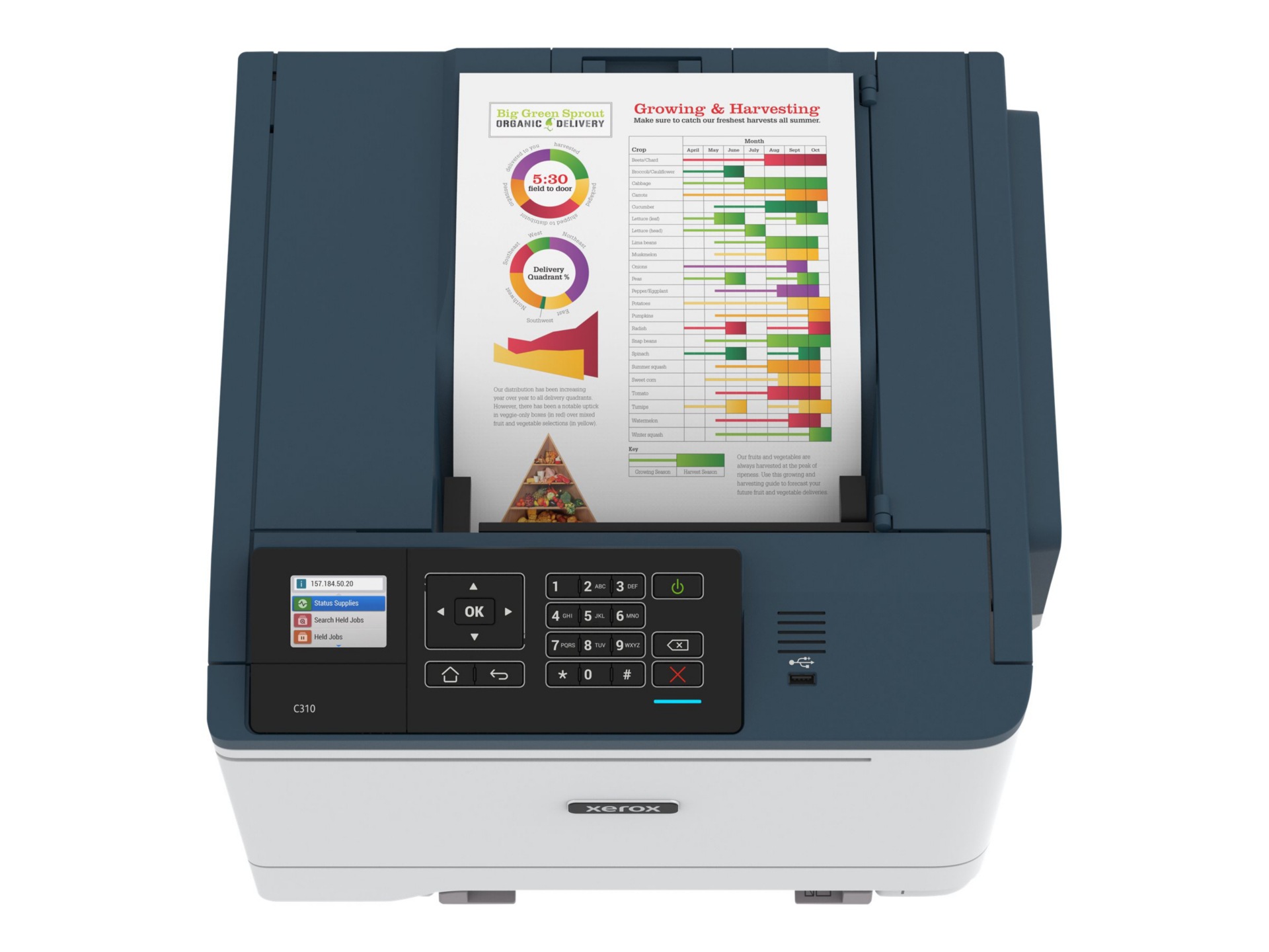 Thumbnail 4 of 19 for Xerox C310/DNI - printer - color - laser