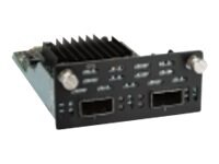 Check Point - module d'extension - 40 Gigabit QSFP+ x 2
