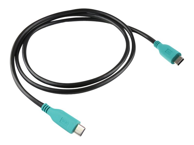Ram GDS - USB-C cable - USB-C to USB-C - 3.3 ft