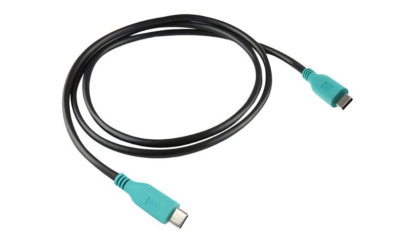 Ram GDS - USB-C cable - USB-C to USB-C - 3.3 ft