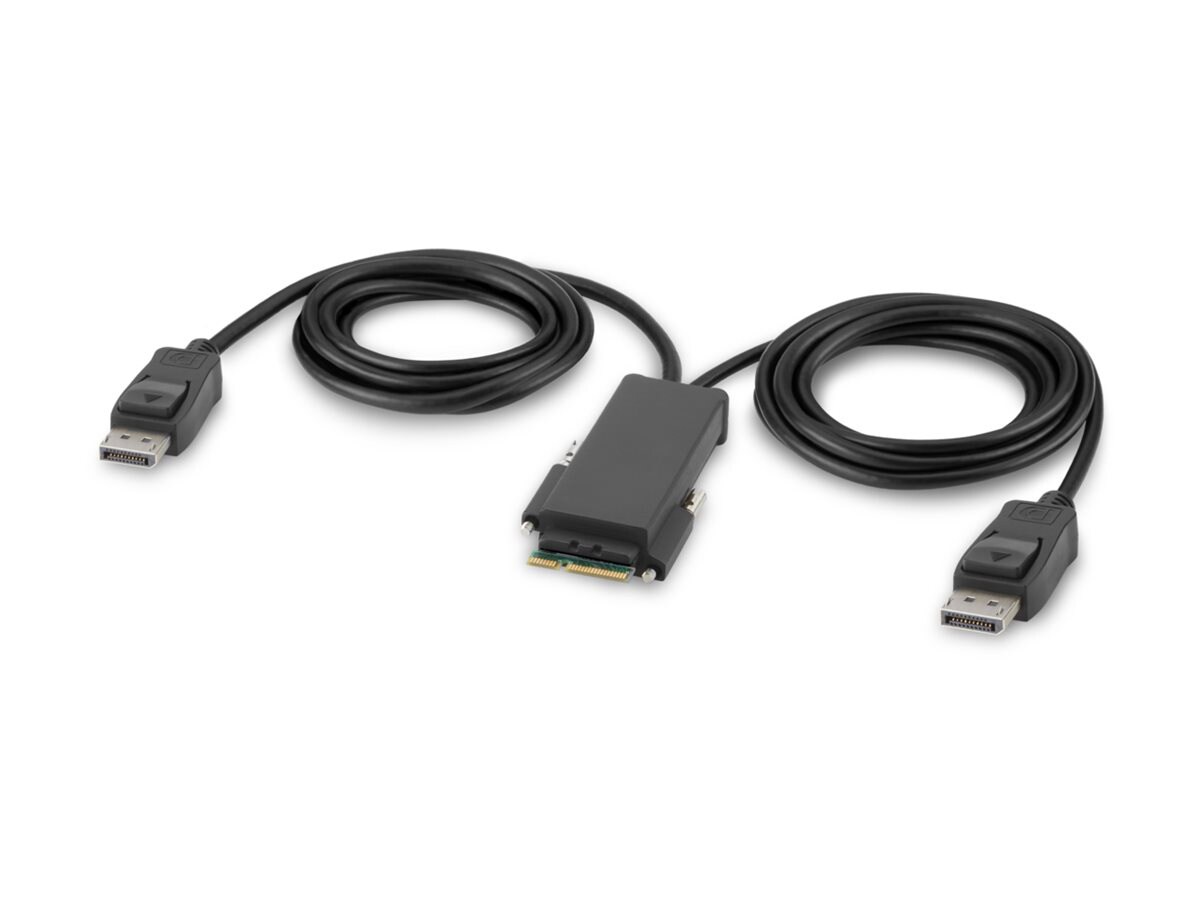 Belkin Secure Modular DP Dual Head Console Cable - video cable - DisplayPor