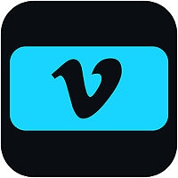Vimeo Enterprise - license - 1 additional concurrent stream