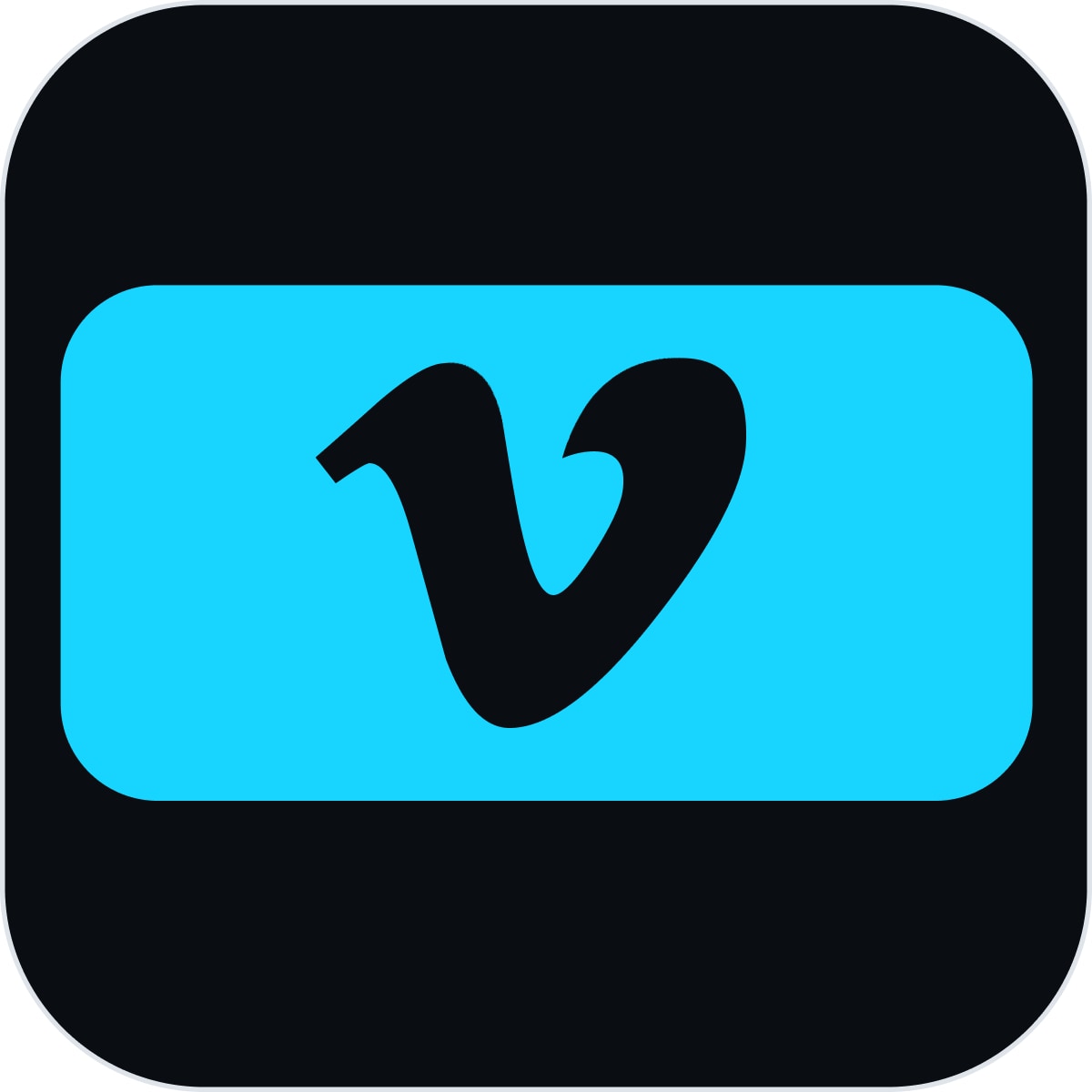 Vimeo Enterprise - license - 1 additional registered viewer seat