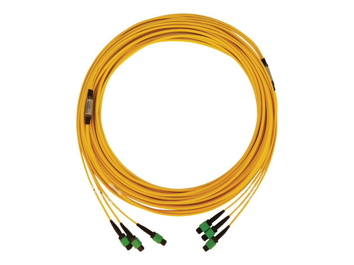 Eaton Tripp Lite Series 40/100G Singlemode 9/125 OS2 Fiber Optic Cable 3x8F MTP/MPO-APC F/F, LSZH, Yellow, 15 m 49 ft.